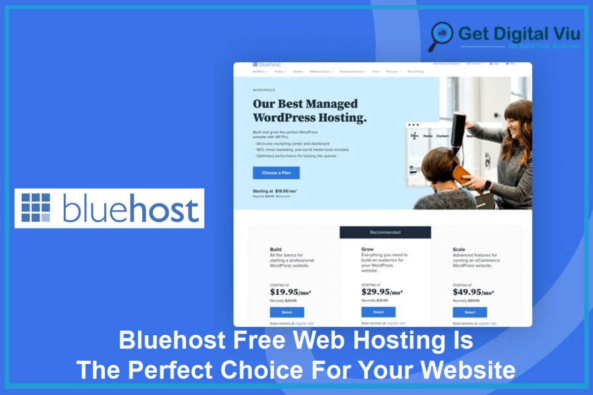 Bluehost Free Web Hosting Is The Perfect Choice For Your Website